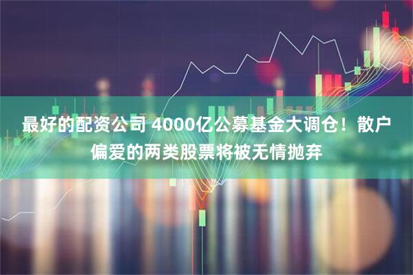 最好的配资公司 4000亿公募基金大调仓！散户偏爱的两类股票将被无情抛弃