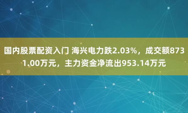 国内股票配资入门 海兴电力跌2.03%，成交额8731.00万元，主力资金净流出953.14万元
